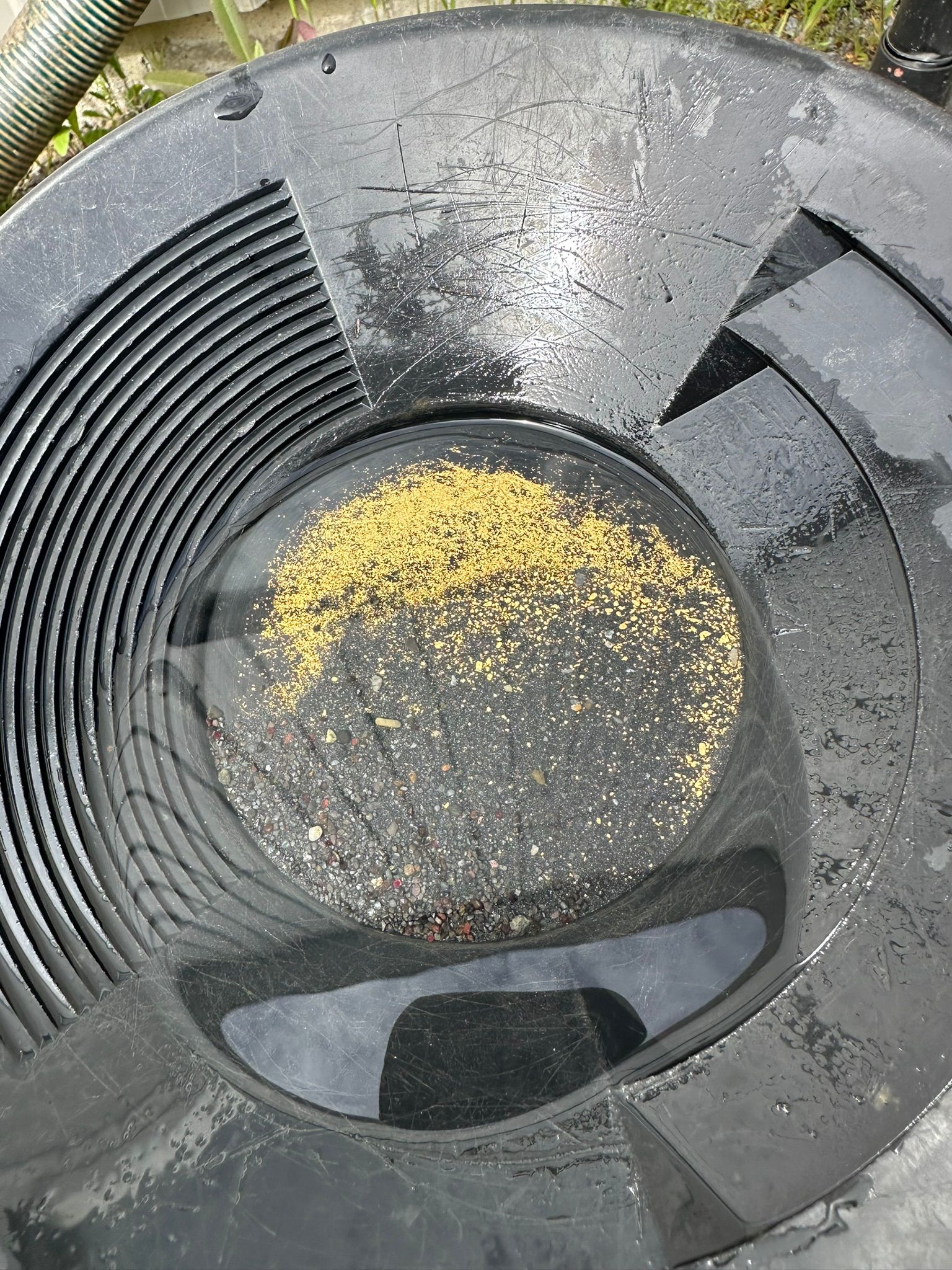 Placer gold in a black pan ready for calibrated photography