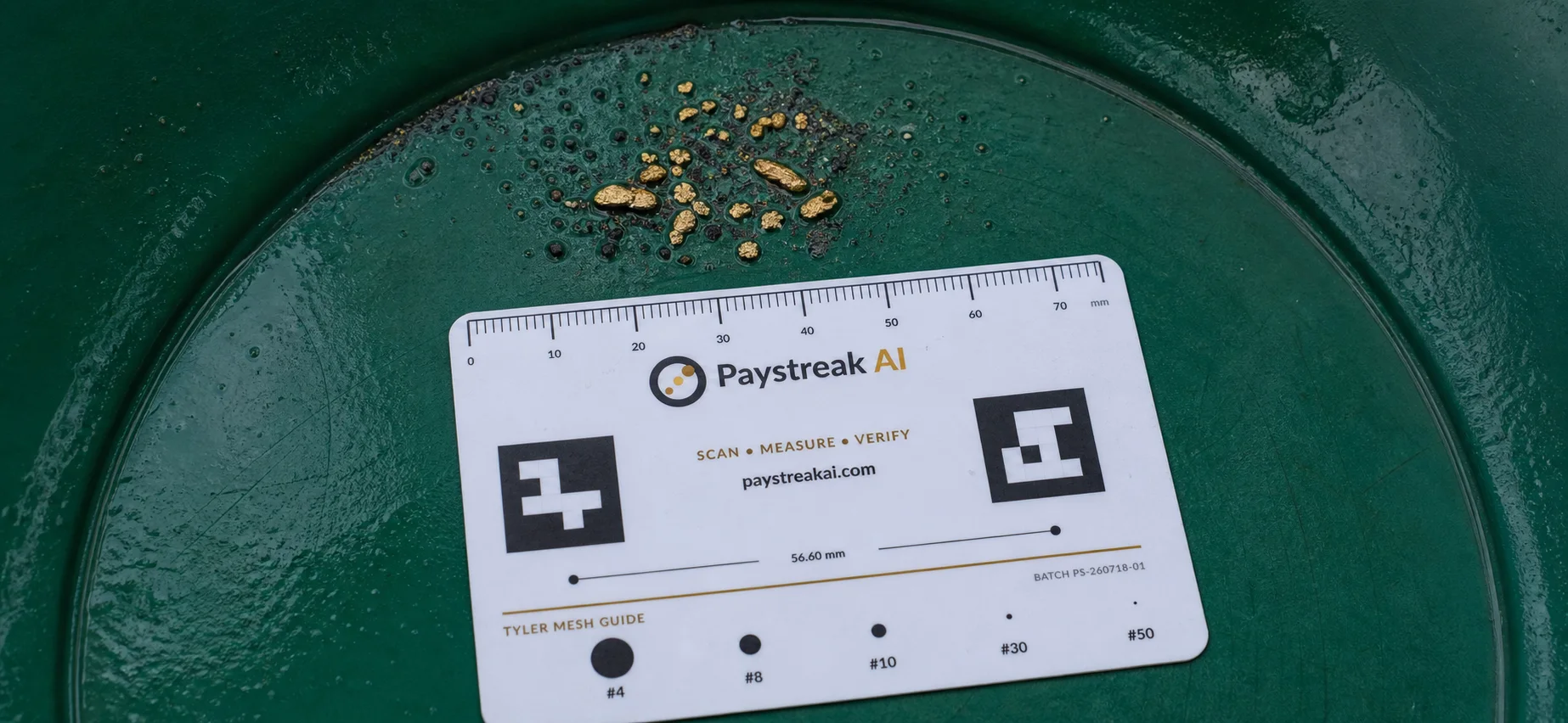 Recovered placer gold and a Paystreak AI calibration card inside a green gold pan