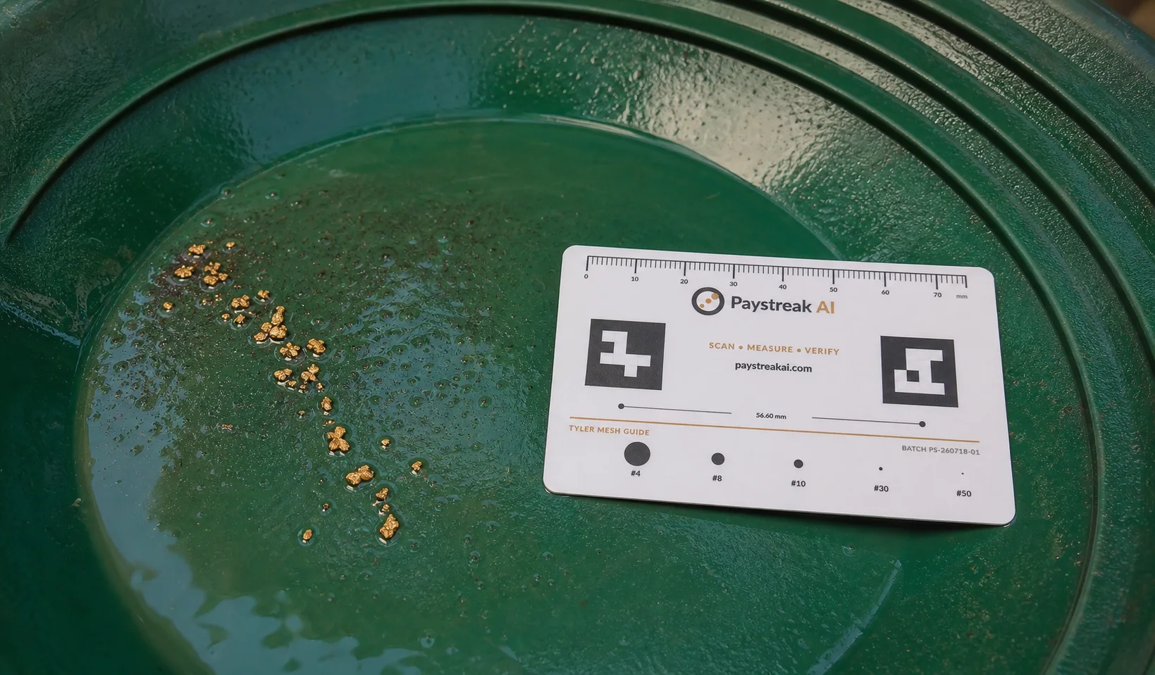 Spread placer gold and a Paystreak AI calibration card in a field pan