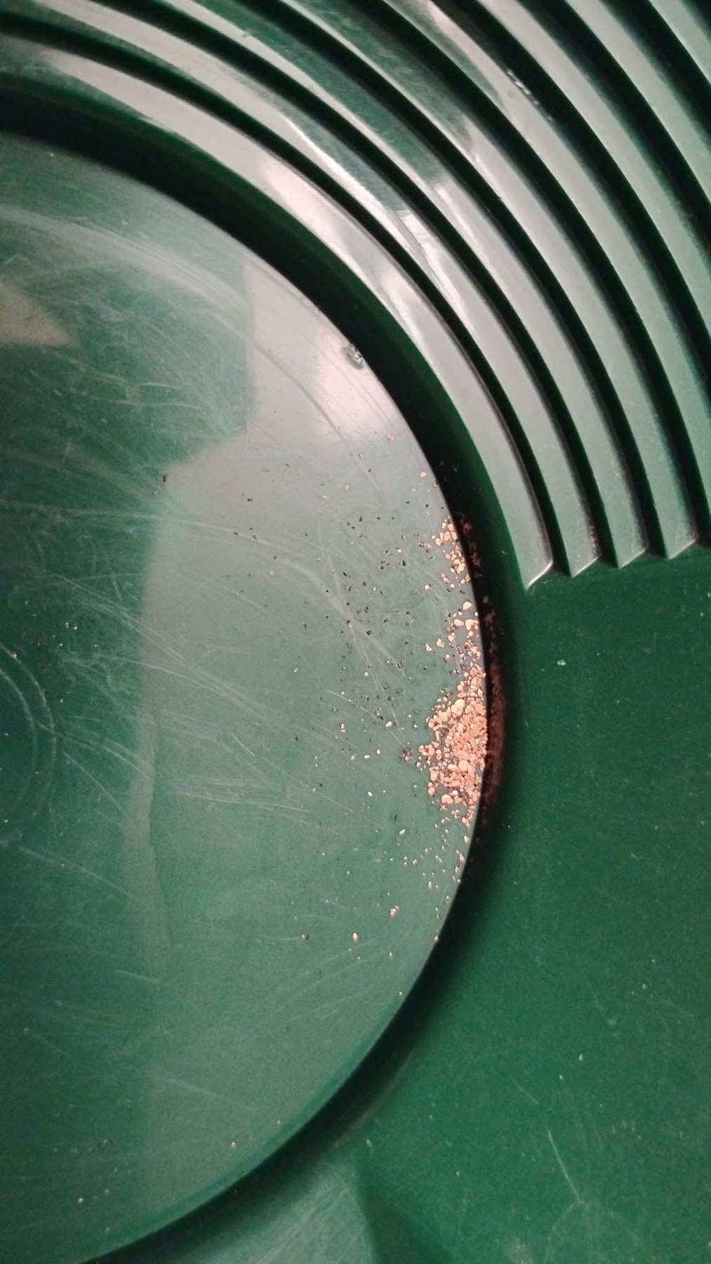 Original sample image